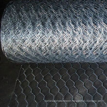 Hot Dipped Galvanized Hexagonal Wire Mesh for Poultry